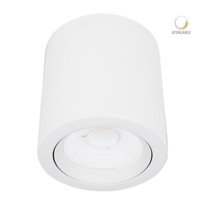 20DYSNLED009V30B-Cilindro-de-Sobreponer-Ashlesha-I_Blanco_Tecnolite Aplique de Techo Cilíndrico 20W Blanco Ashlesha I - Imagen 1