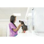 cpx 2x4 PANEL 60 X 60 LITHONIA 02 jpg