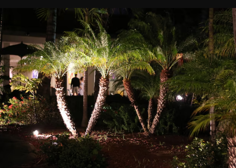 Captura de pantalla 2025 06 16 142951